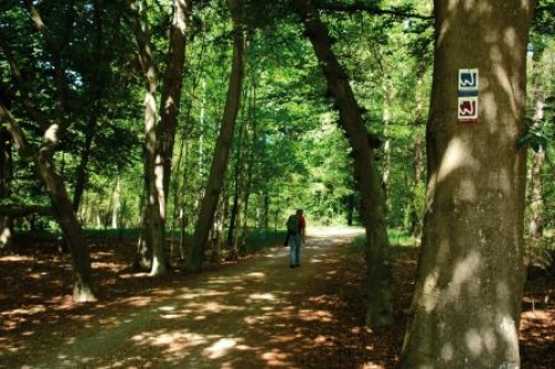 Gagelmoor-Pfad, Niederkrüchten